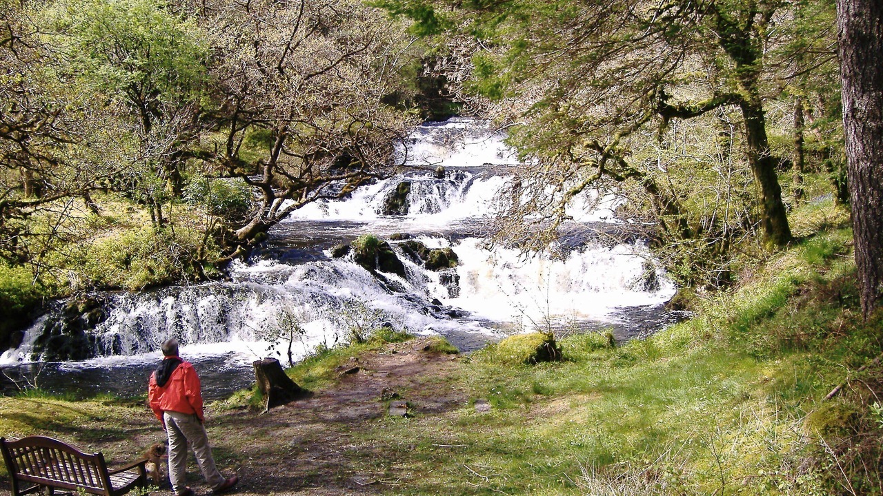 Photo of Others in Taynuilt