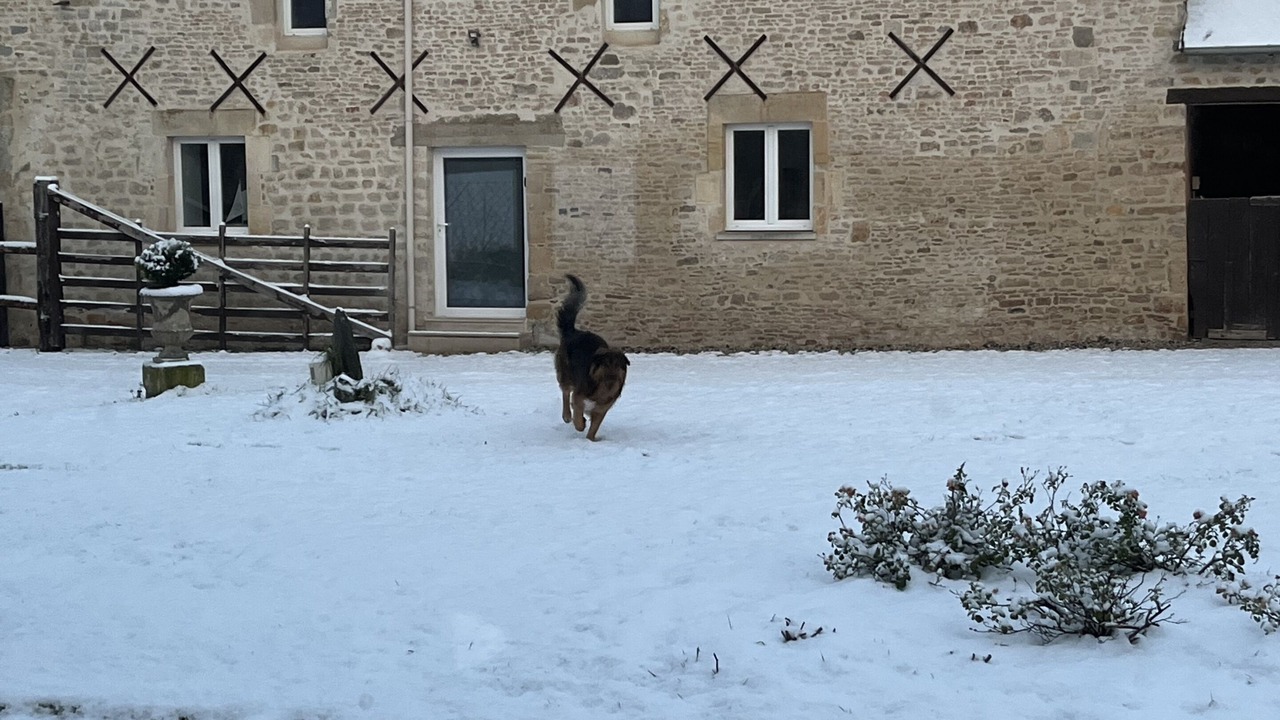 Photo of Outdoor in Isigny-sur-Mer