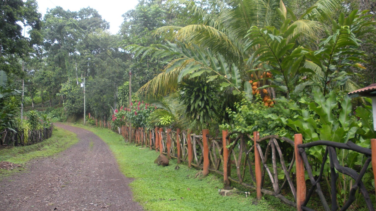 Photo of Others in Parrita