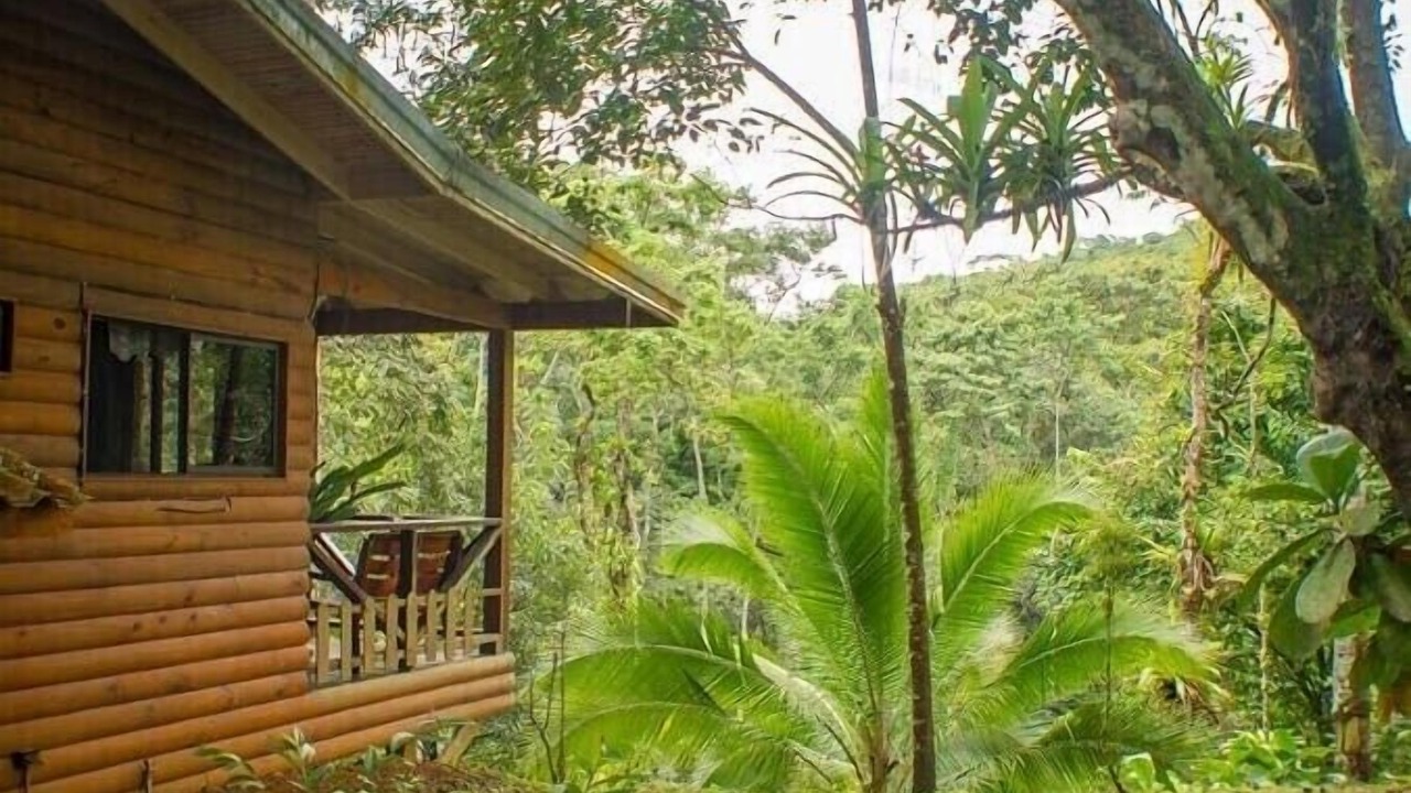 Photo of Others in Parrita