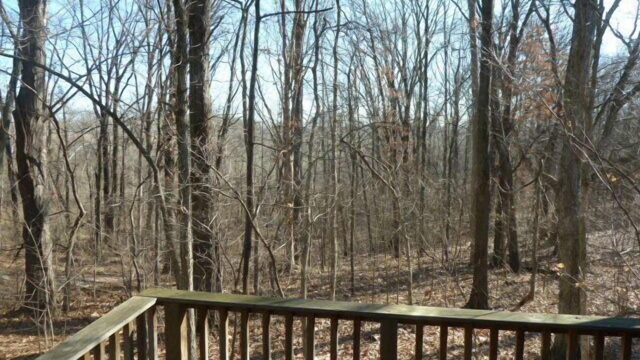 Photo of Others in Carbondale