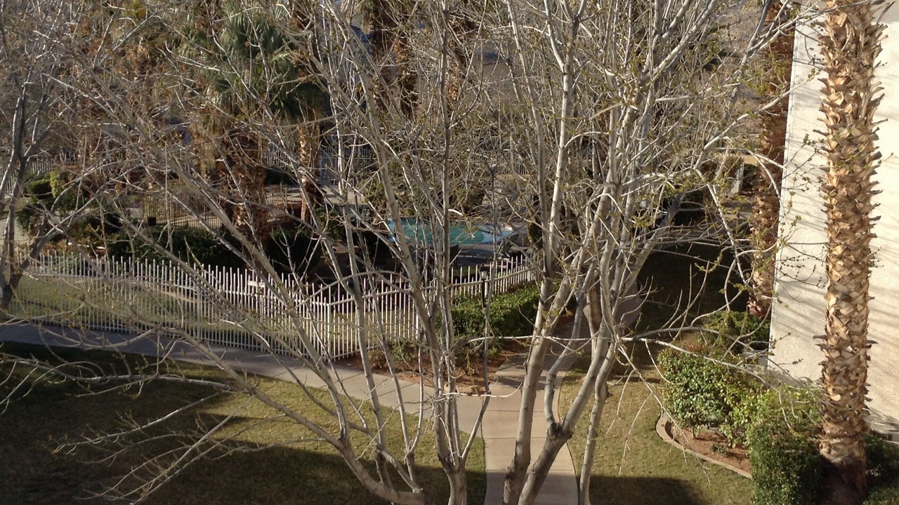 Photo of Outdoor in St. George