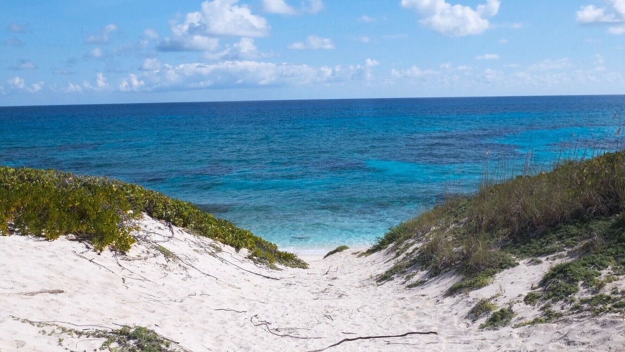 Photo of Others in Staniel Cay
