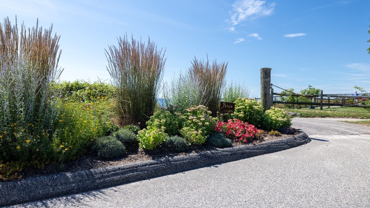 Photo of Outdoor in Niantic
