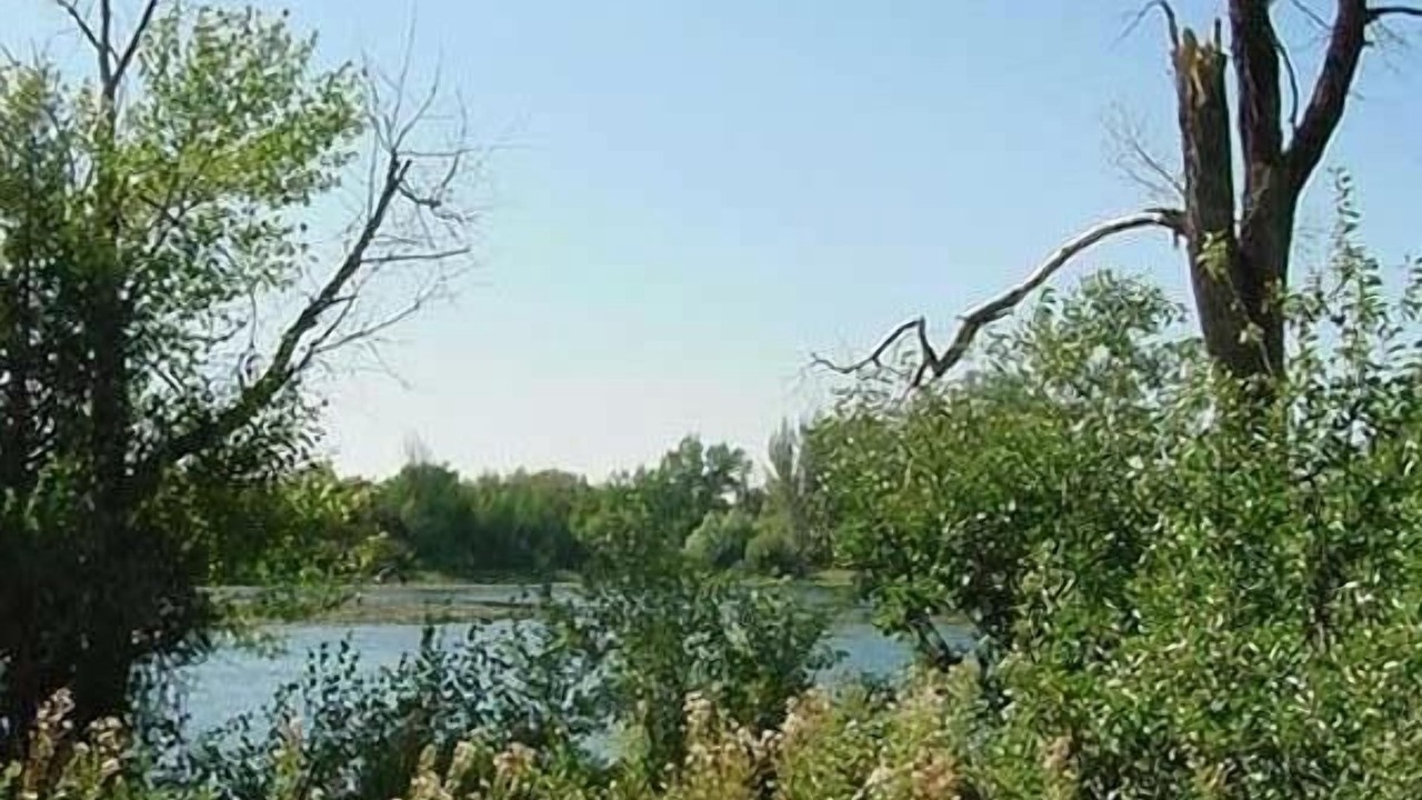 Photo of Outdoor in Ashton