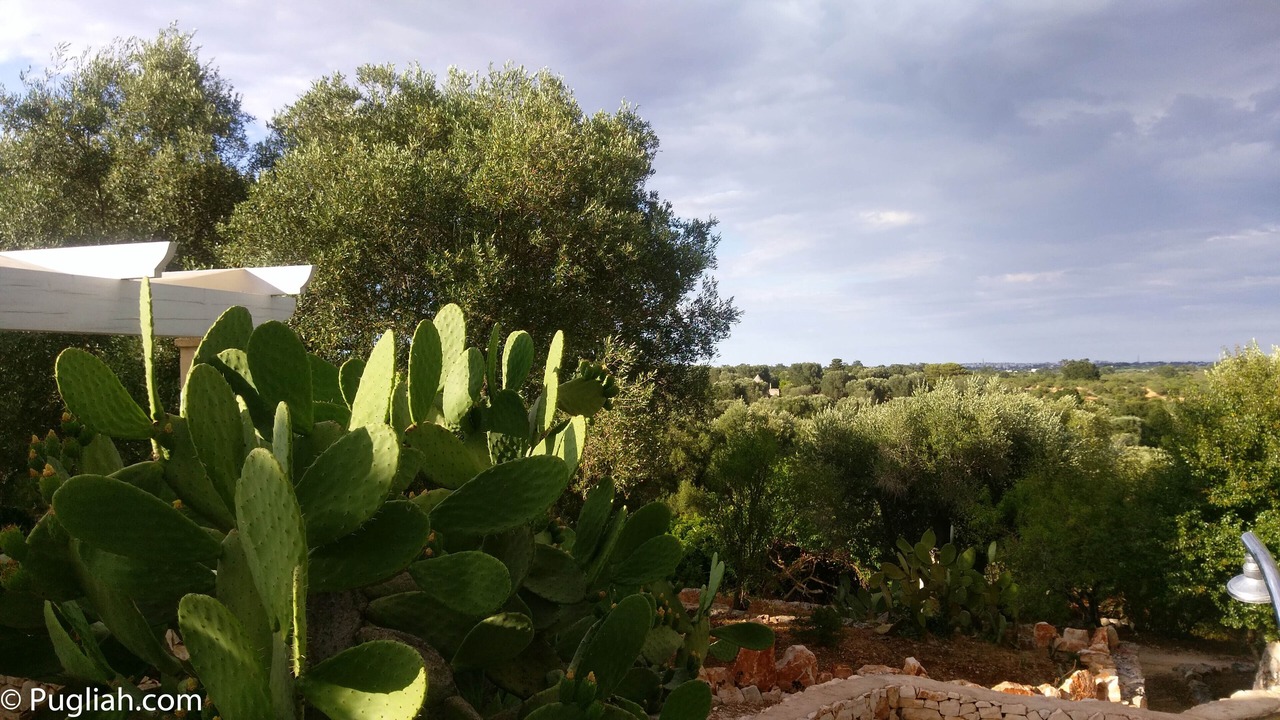 Photo of Outdoor in Ostuni