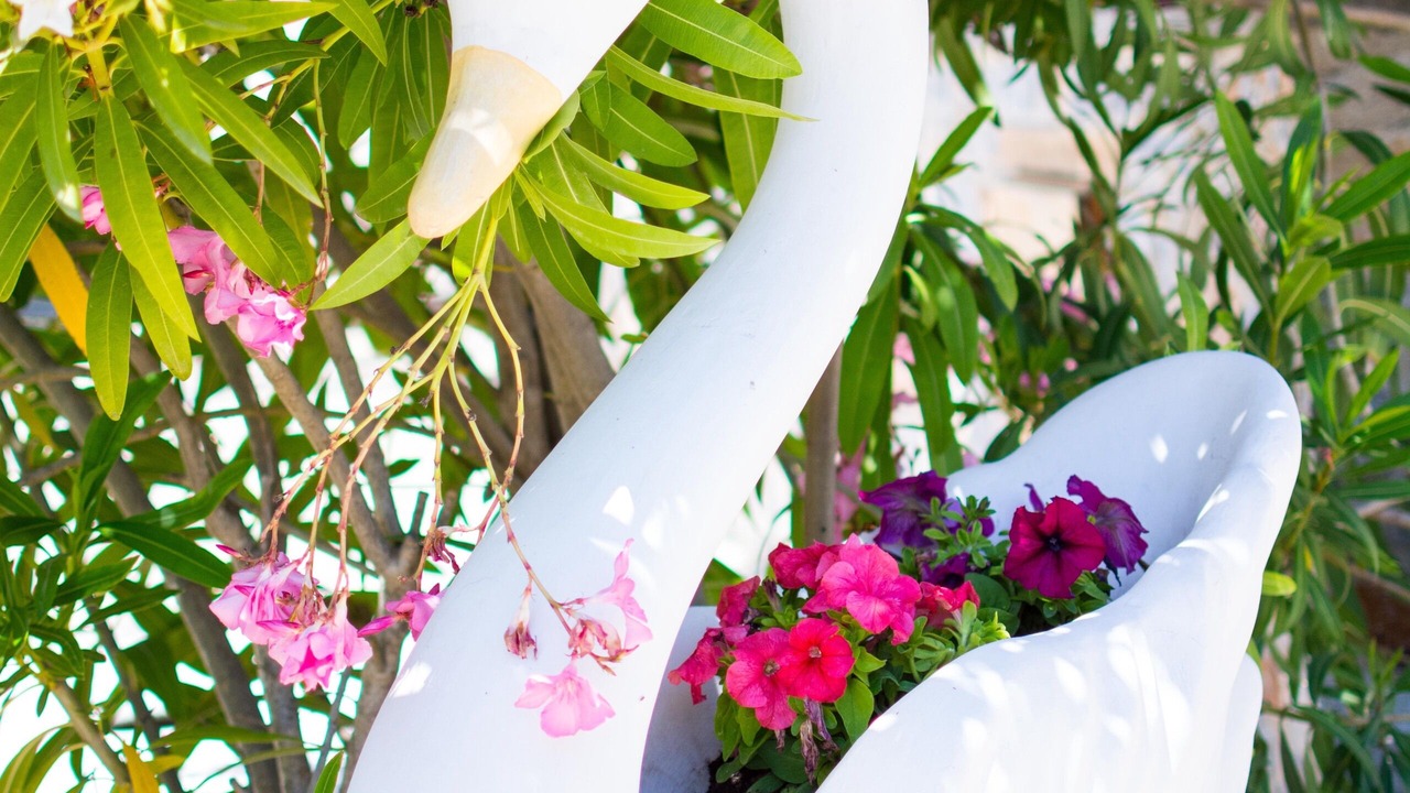 Photo of Outdoor in Skiathos