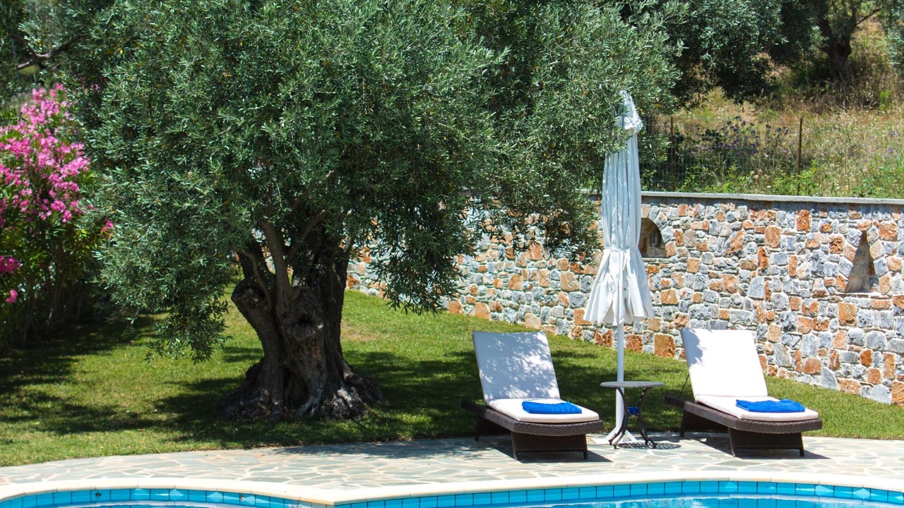 Photo of Outdoor in Skiathos