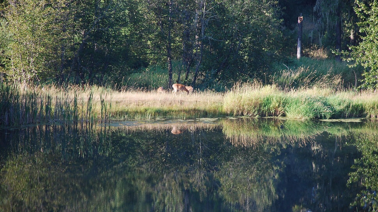 Photo of Others in Kooskia