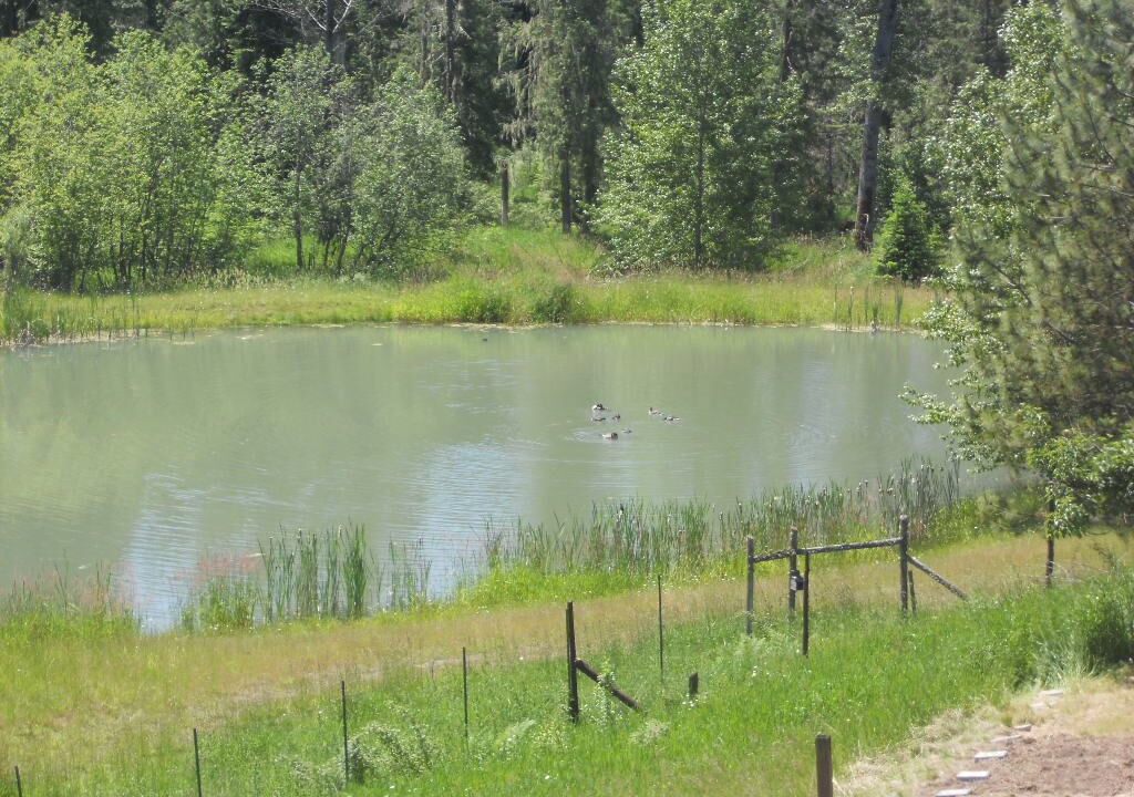 Photo of Others in Kooskia