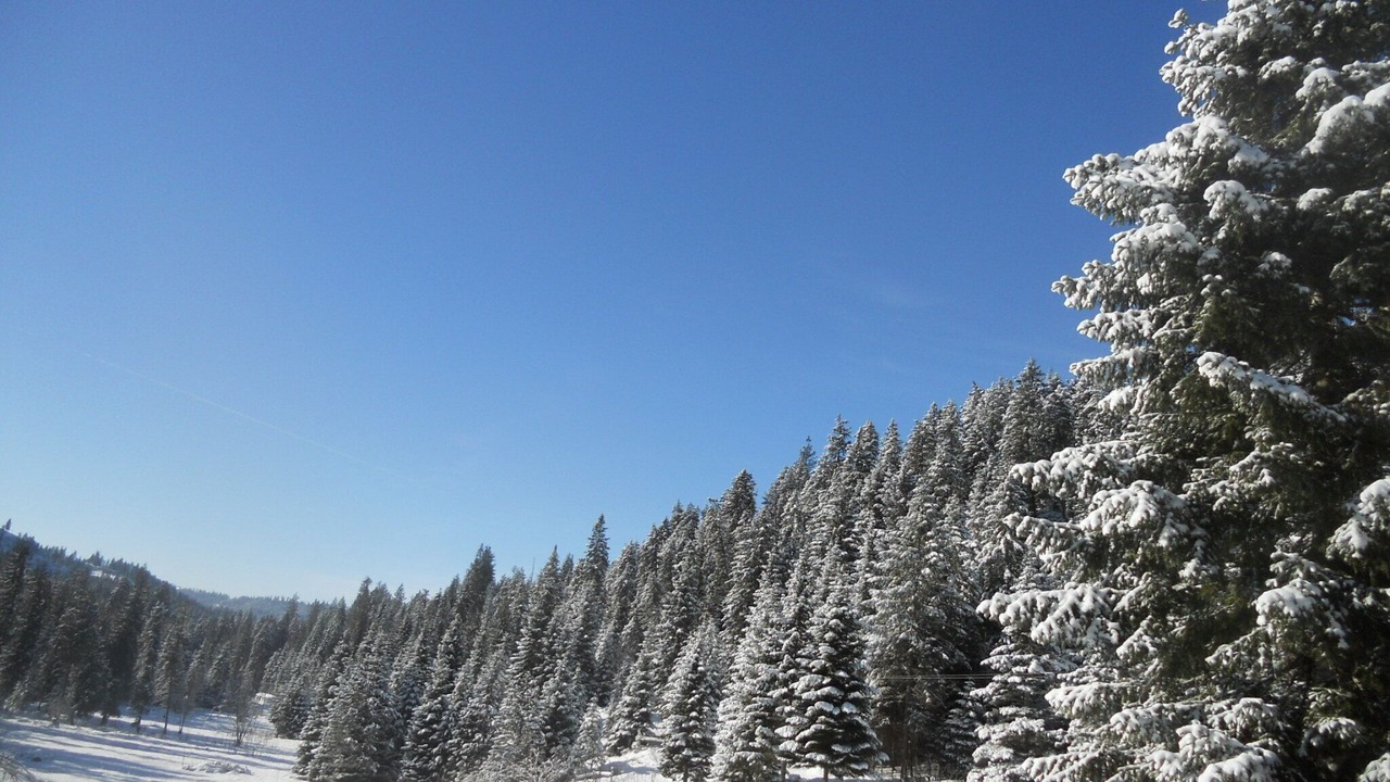 Photo of Others in Kooskia