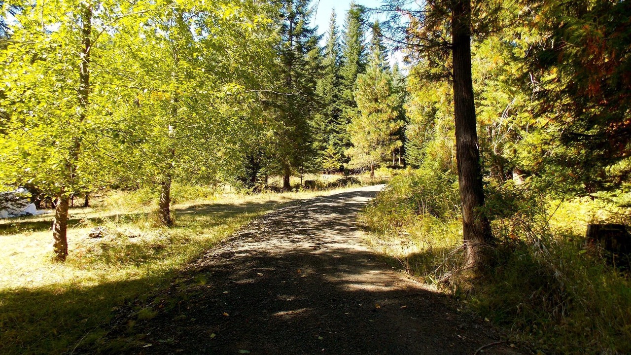 Photo of Outdoor in Kooskia