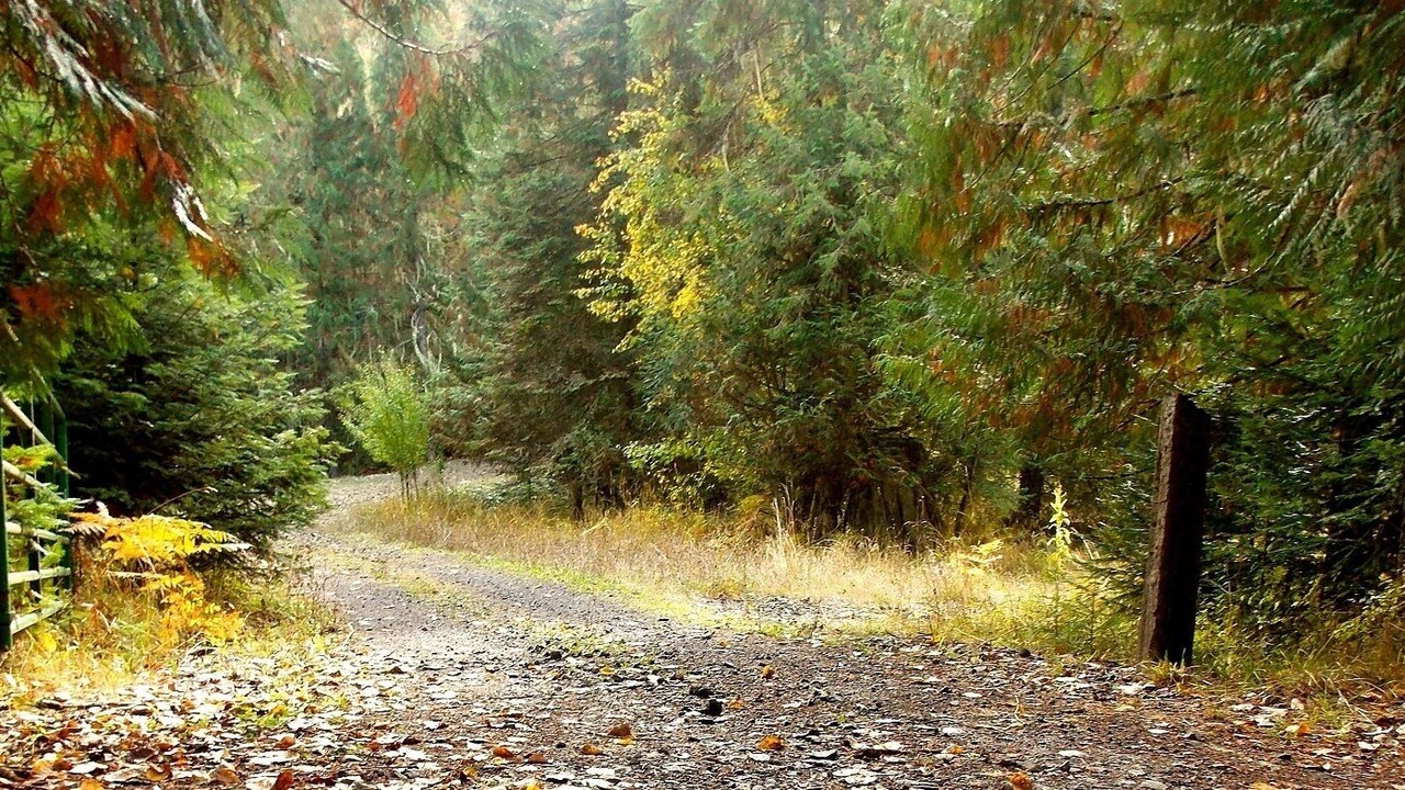 Photo of Others in Kooskia