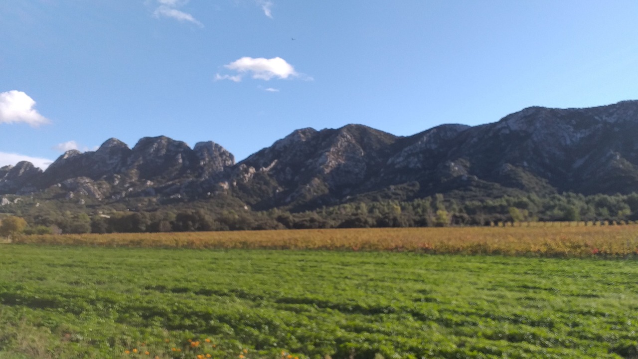 Photo of Outdoor in St.-Remy-de-Provence
