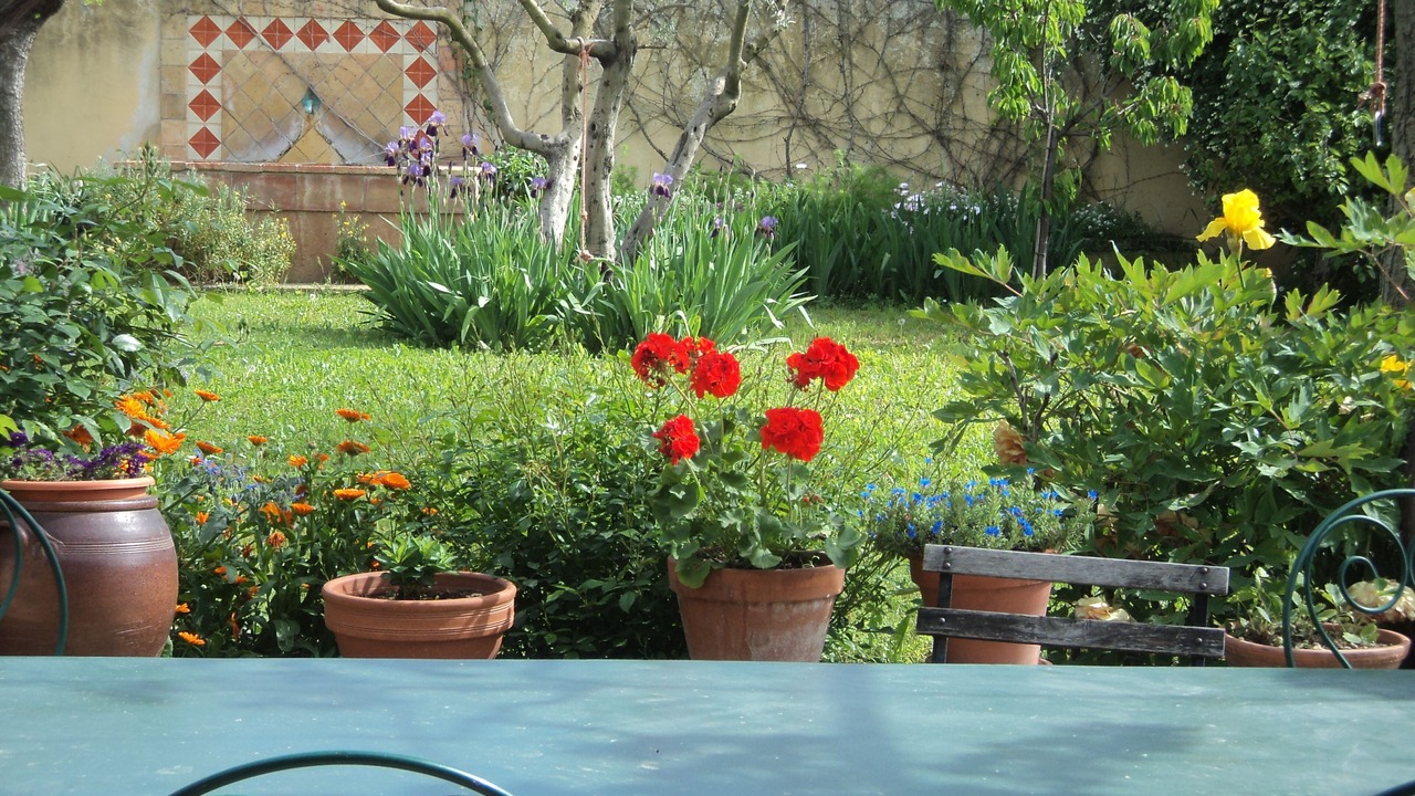 Photo of Outdoor in St.-Remy-de-Provence