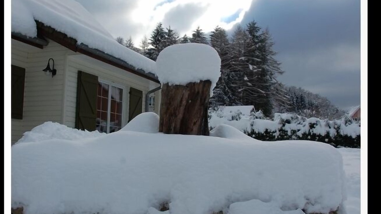 Photo of Outdoor in Wildenstein