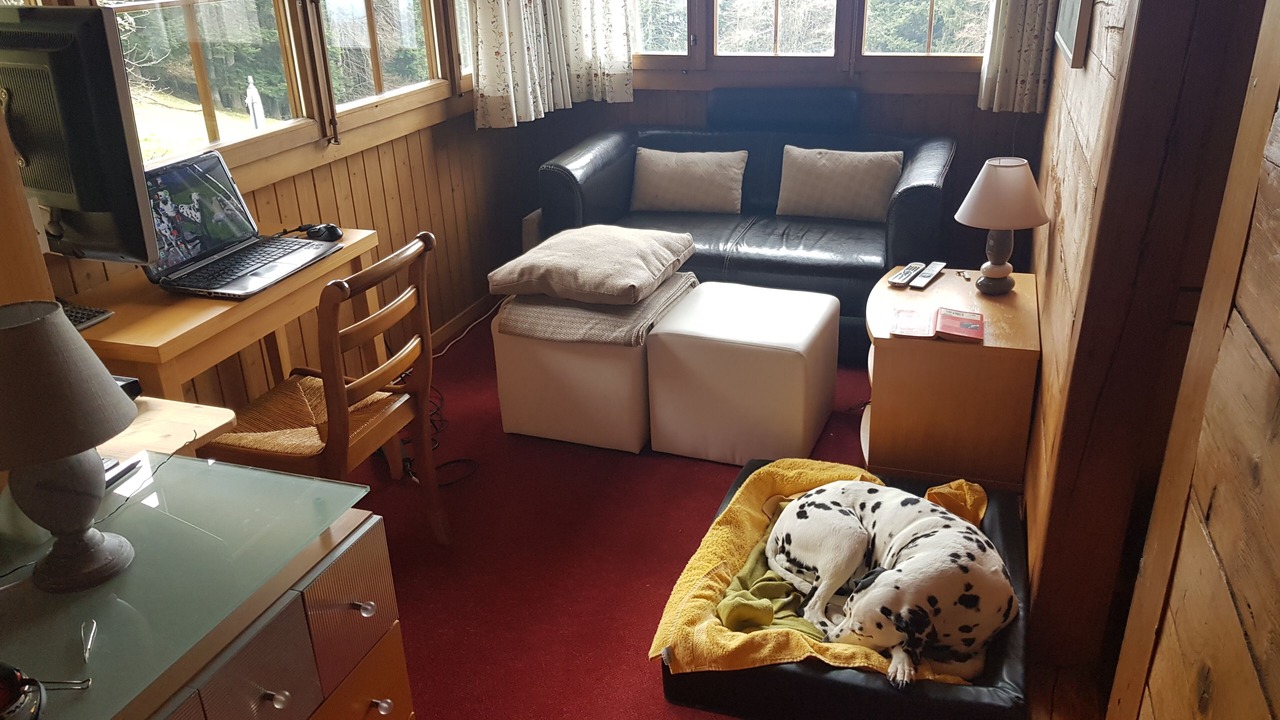 Photo of Livingroom in Corbeyrier