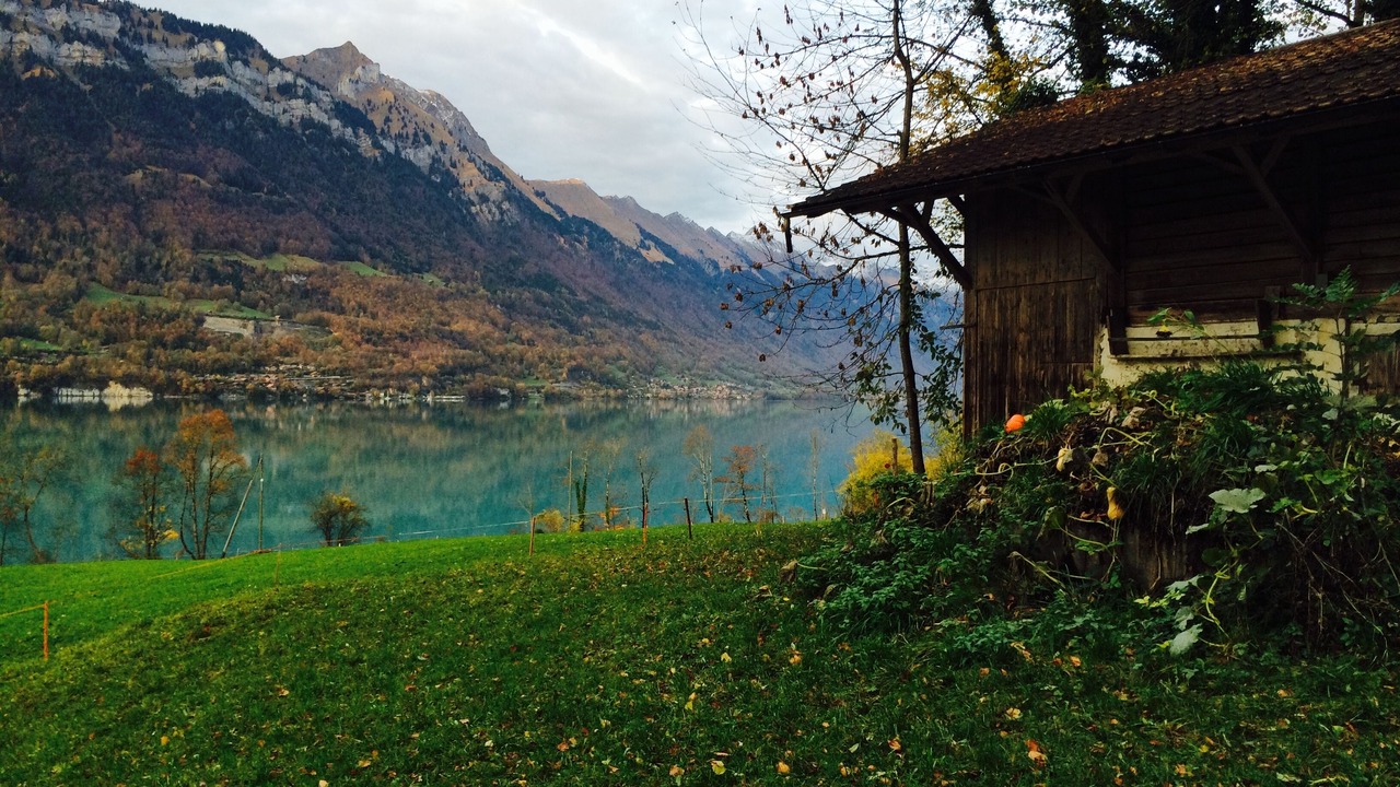 Photo of Outdoor in Boenigen