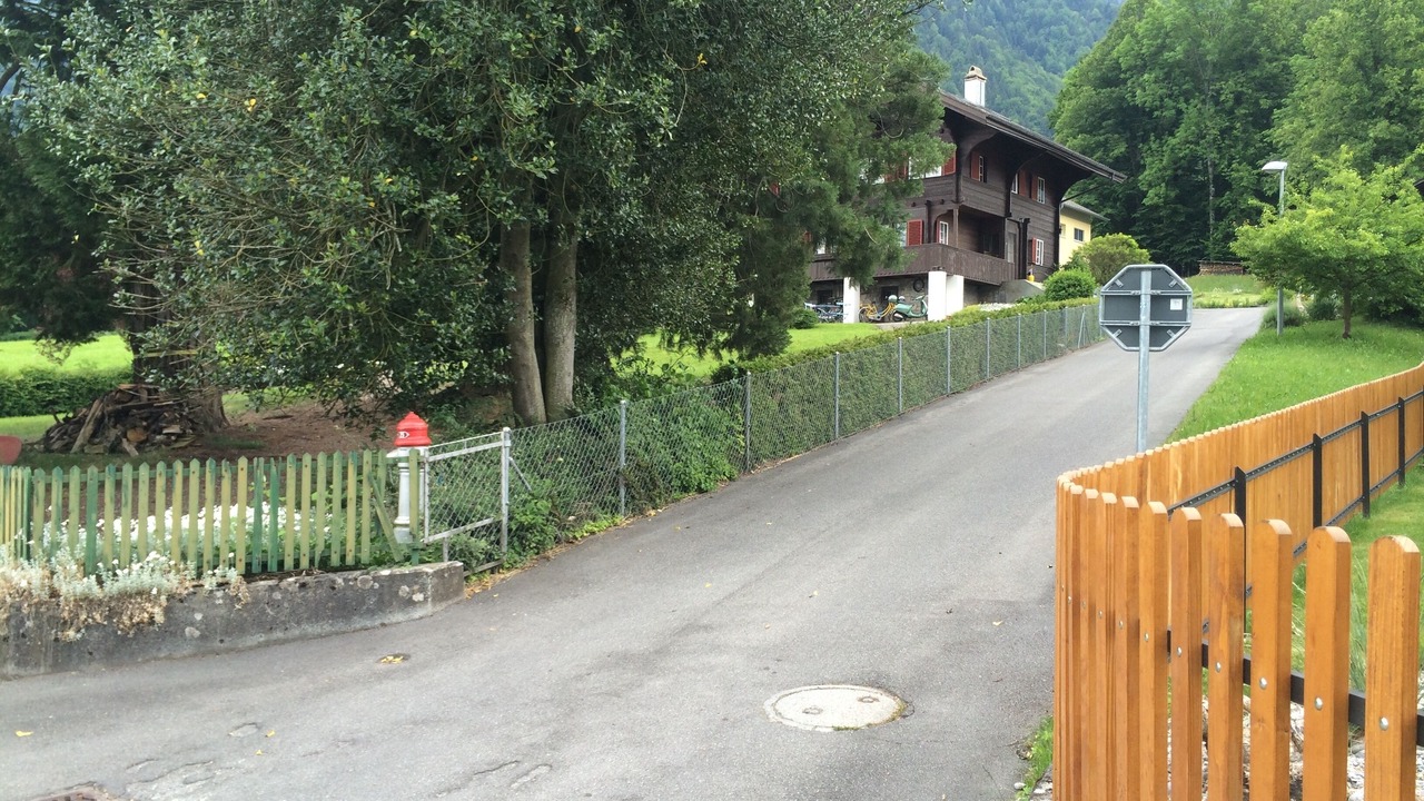 Photo of Others in Boenigen