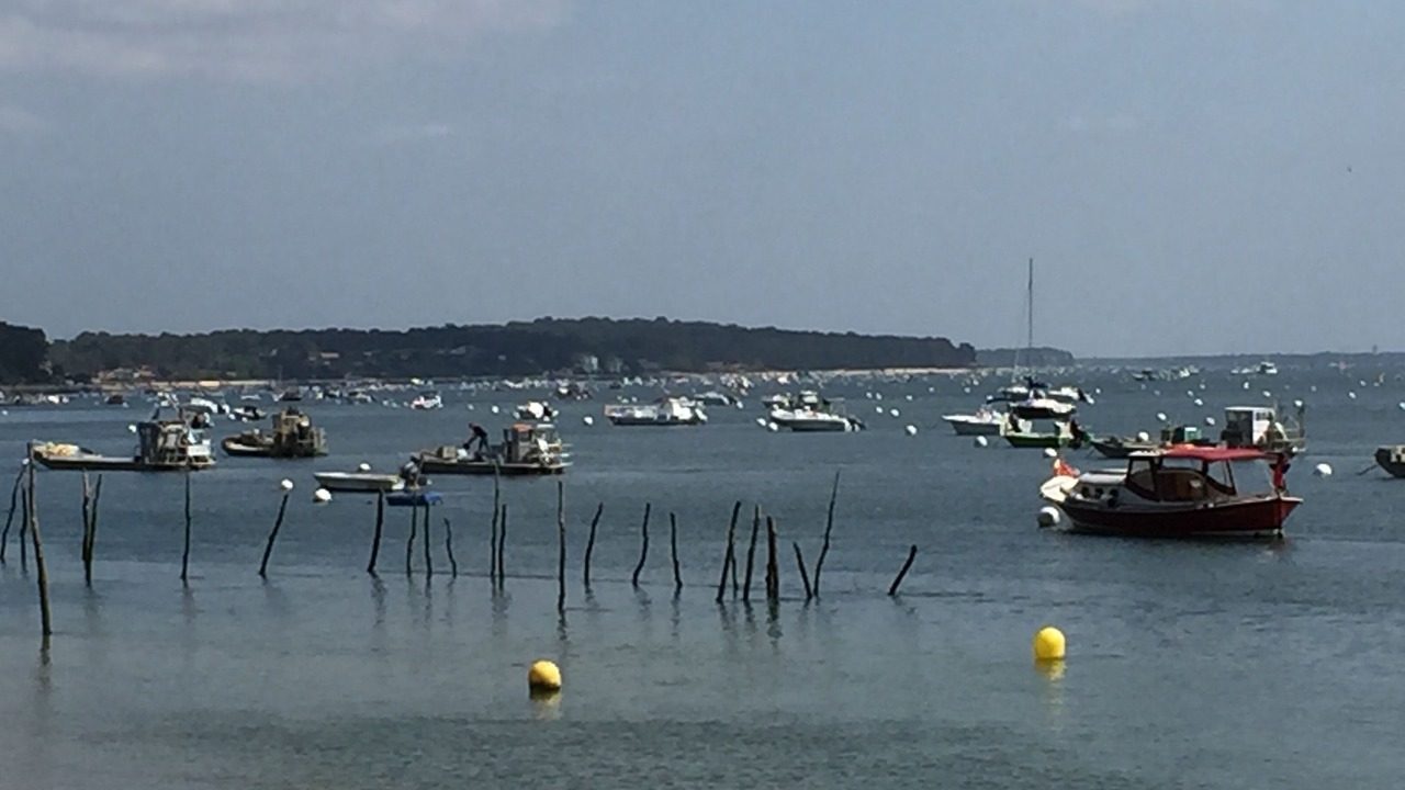 Photo of Others in Cap-Ferret