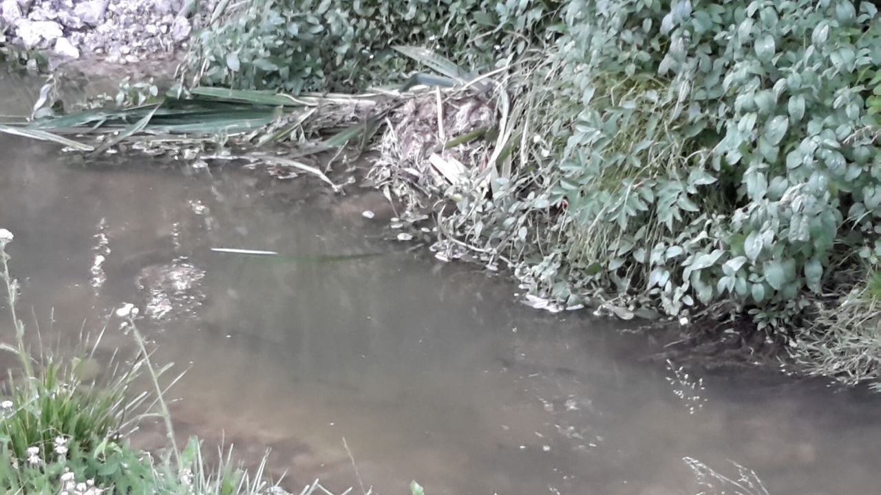 Photo of Outdoor in Bonny-sur-Loire