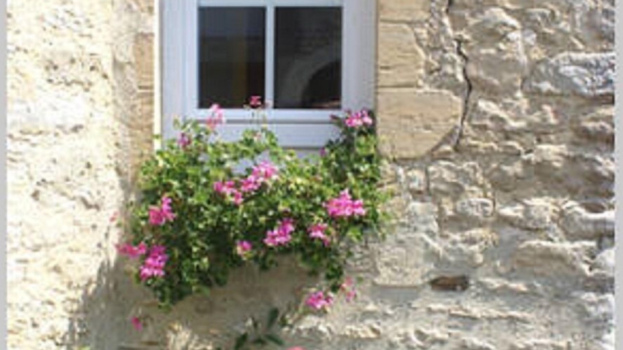 Photo of Outdoor in Aure sur Mer