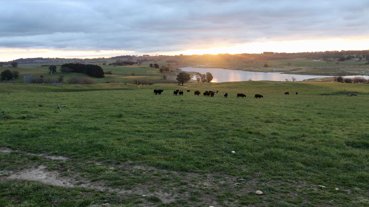 Photo of Others in Oberon