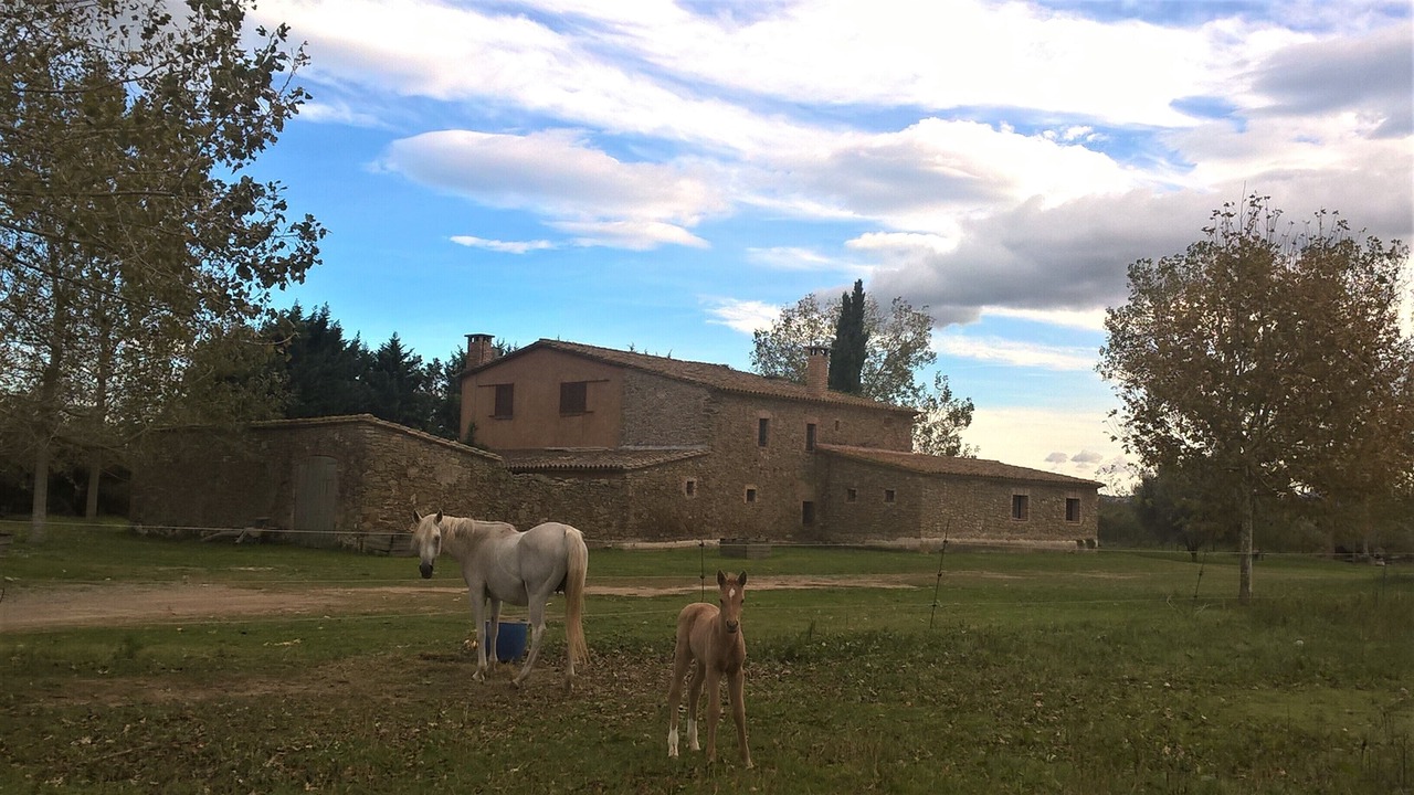 Photo of Others in Torroella de Montgri