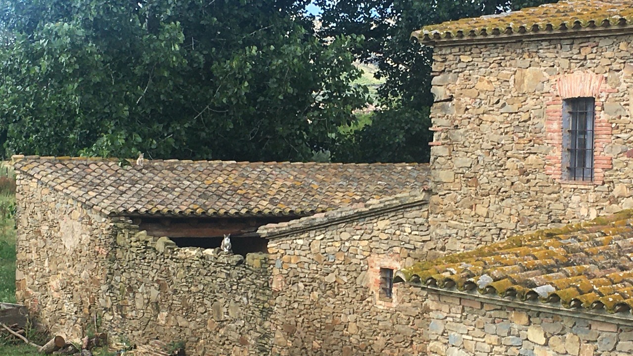 Photo of Others in Torroella de Montgri