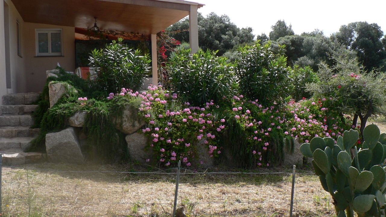 Photo of Outdoor in Monacia-d'Aullene
