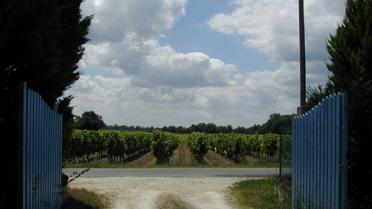 Photo of Others in Sonnac