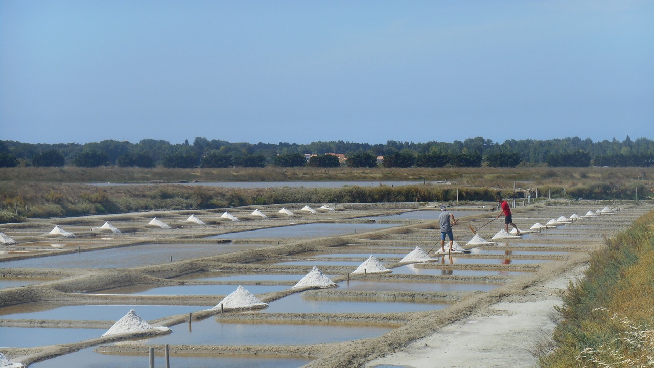 Photo of Others in L'Aiguillon-sur-Vie