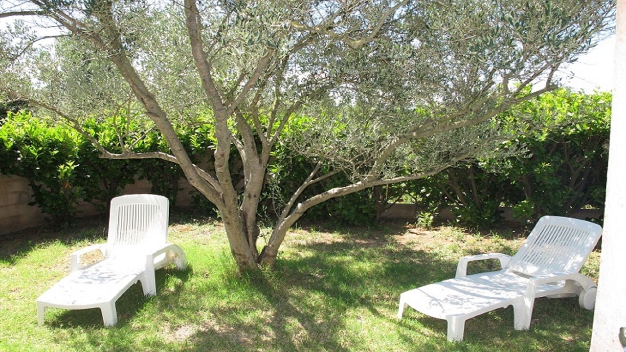 Photo of Outdoor in Lorgues