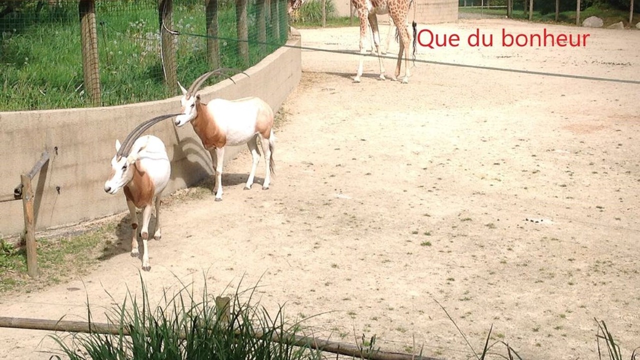 Photo of Others in Fleury