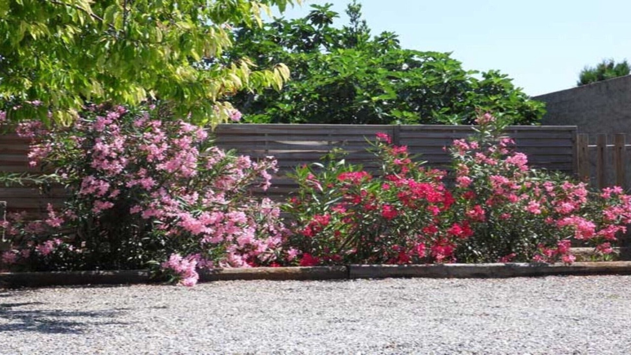 Photo of Outdoor in Marseillette