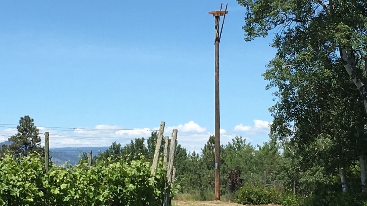 Photo of Others in Okanagan-Similkameen