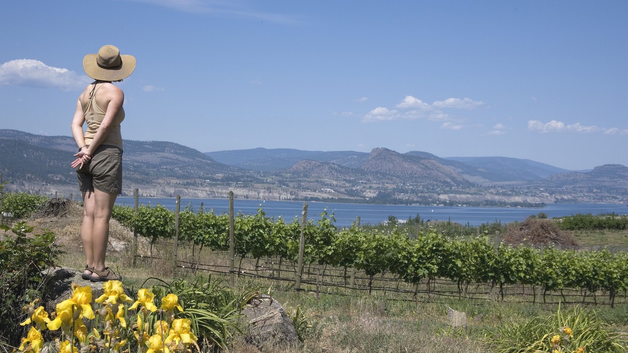 Photo of Others in Okanagan-Similkameen