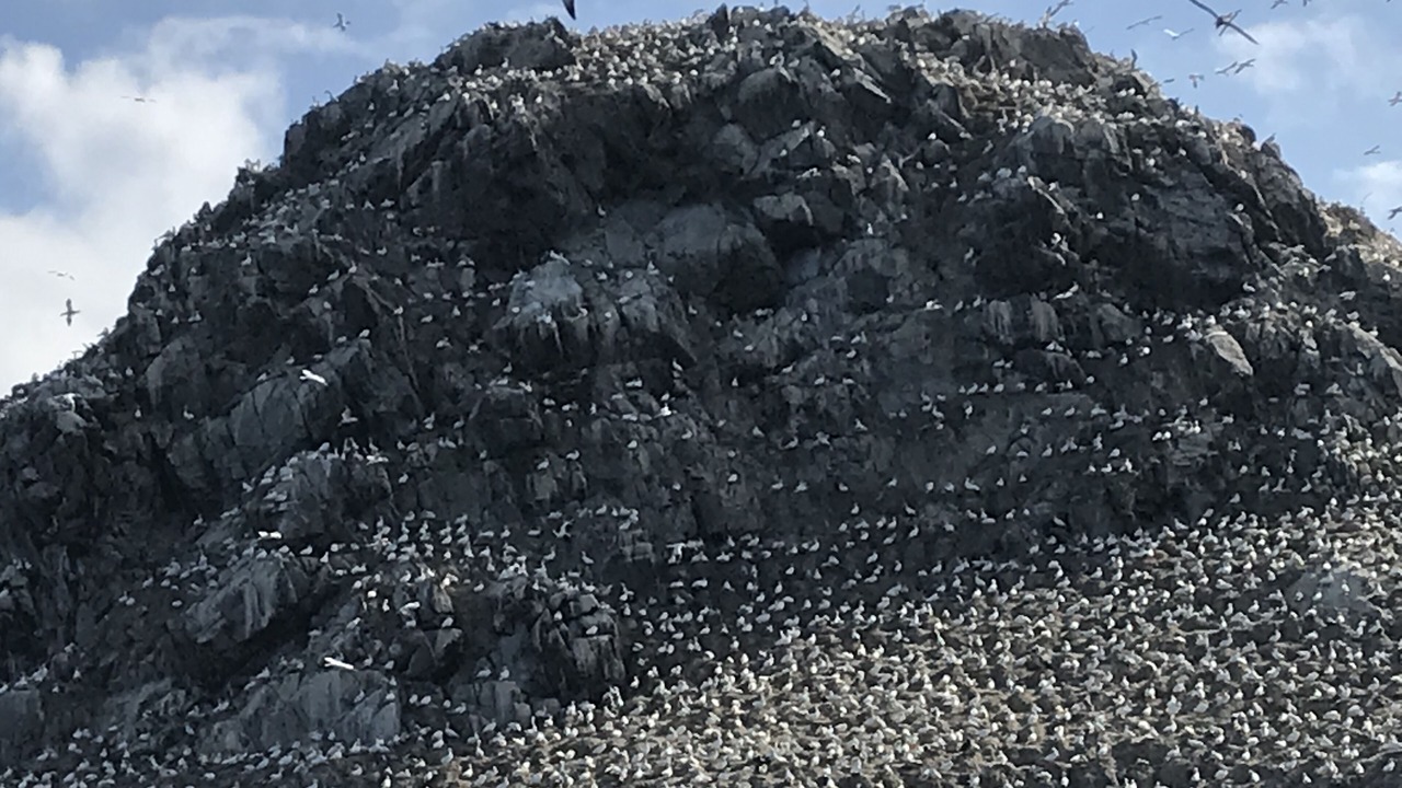 Photo of Others in Plerin