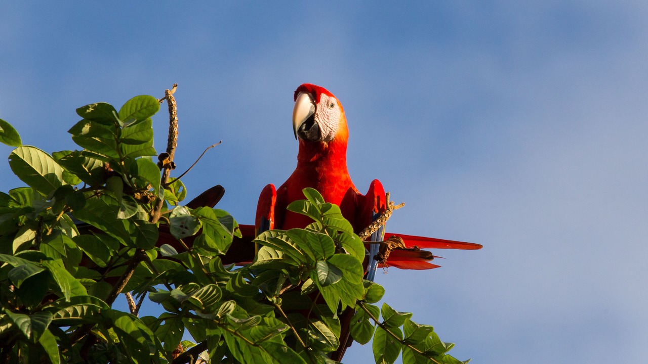 Photo of Outdoor in Valle Pura Vida