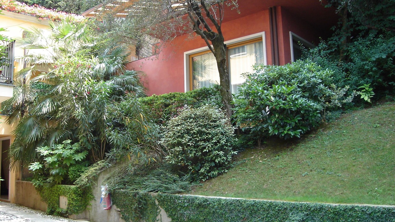 Photo of Outdoor in Malcesine