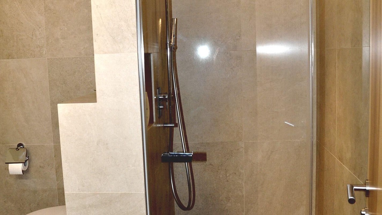Photo of Bathroom in Engadin Scoul