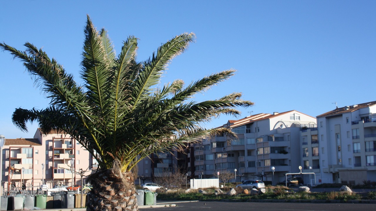 Photo of Outdoor in Frontignan