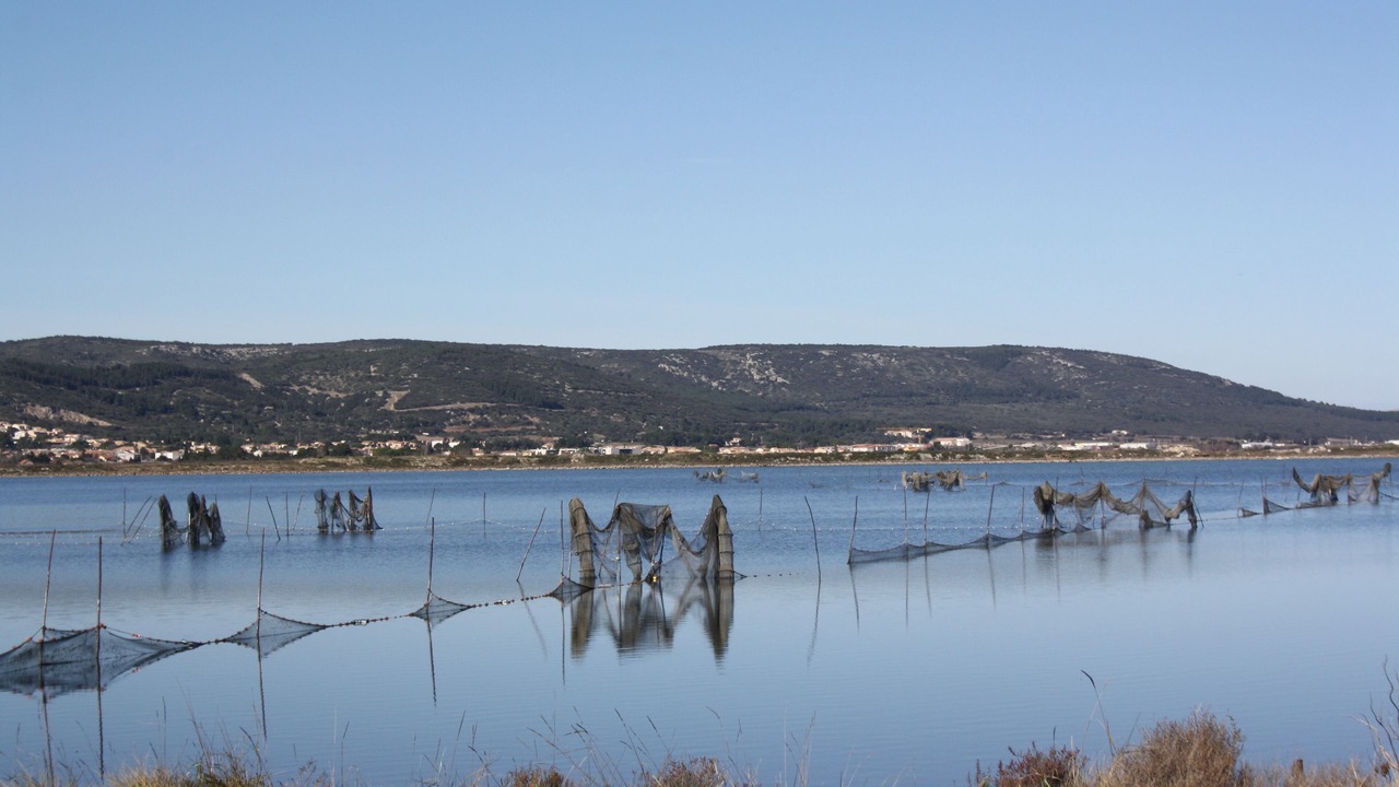 Photo of Others in Frontignan
