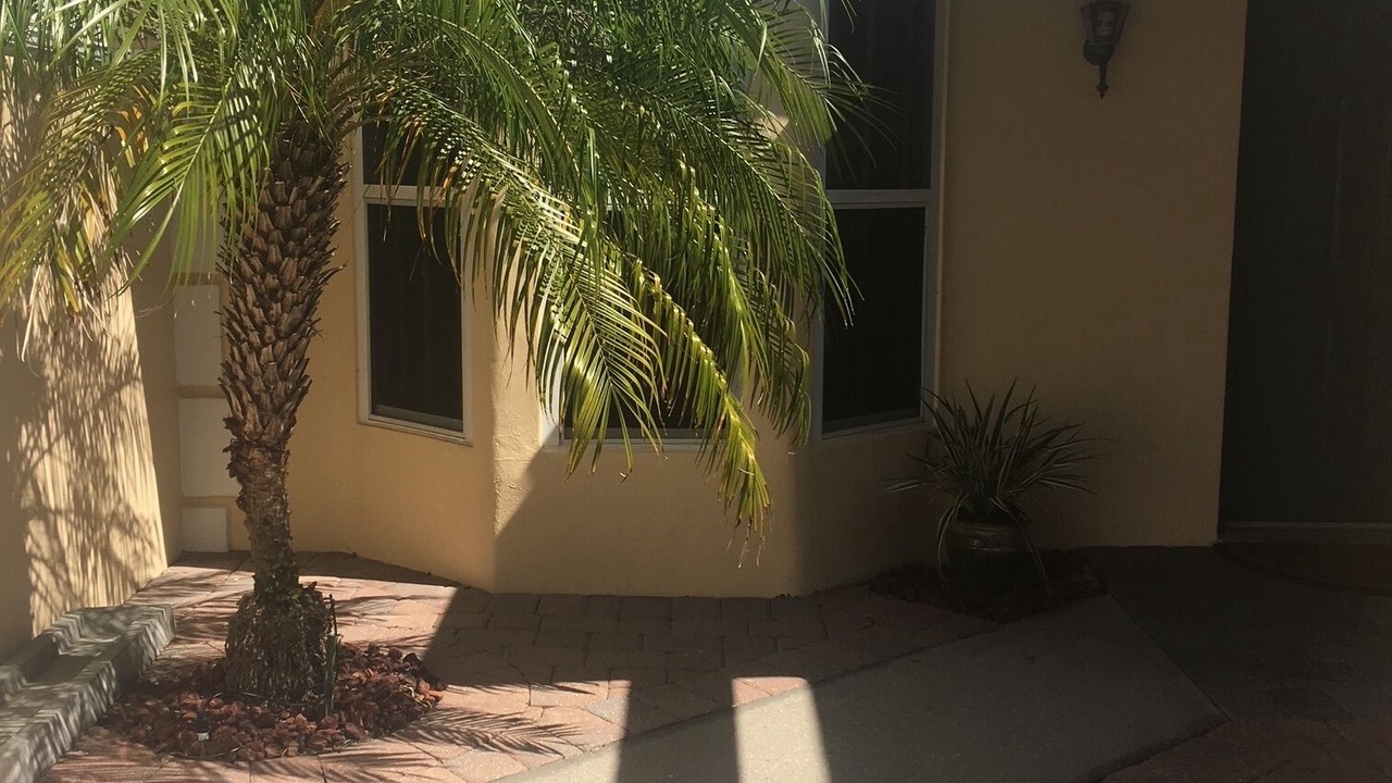 Photo of Outdoor in Plantation