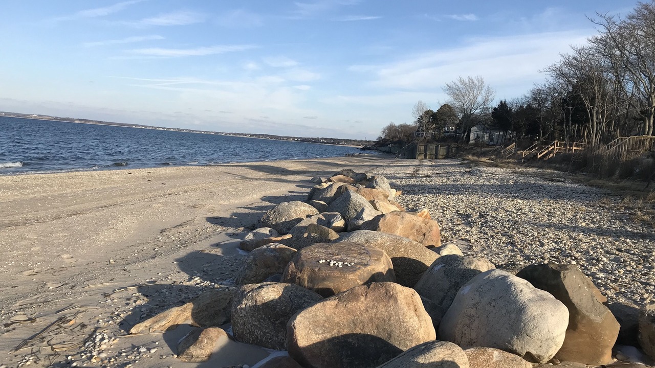 Photo of Others in Hampton Bays