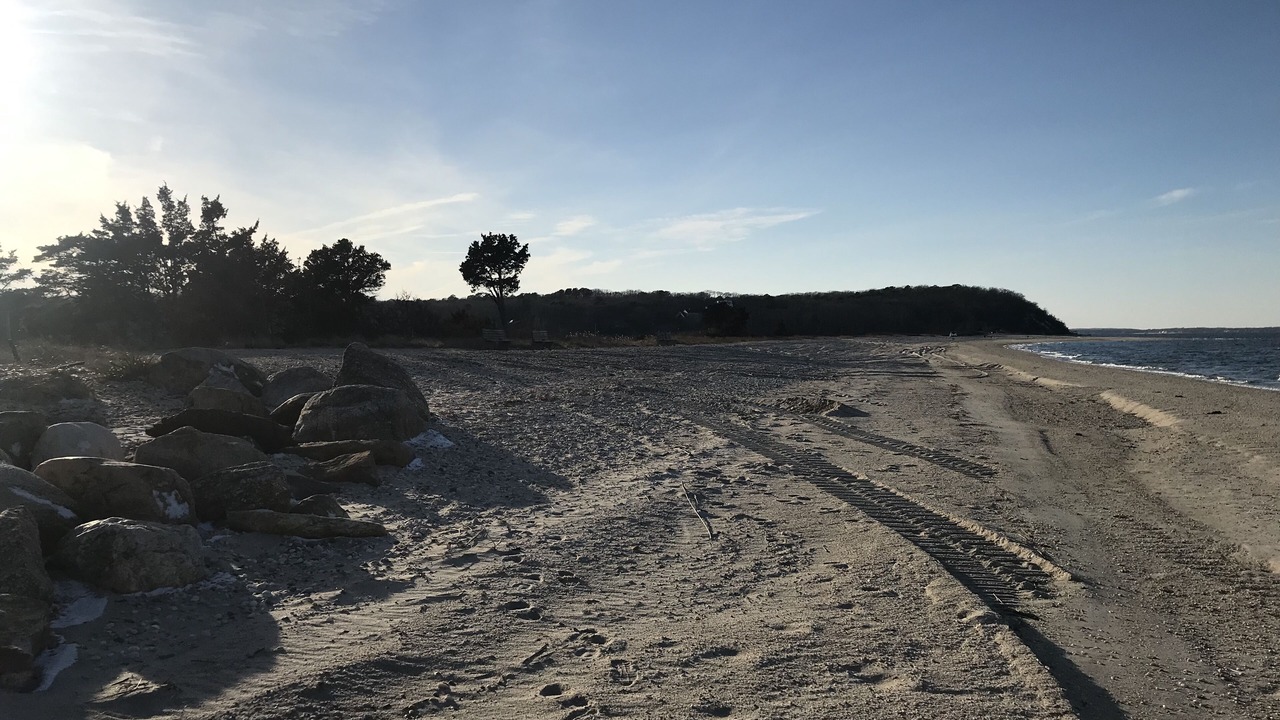 Photo of Others in Hampton Bays
