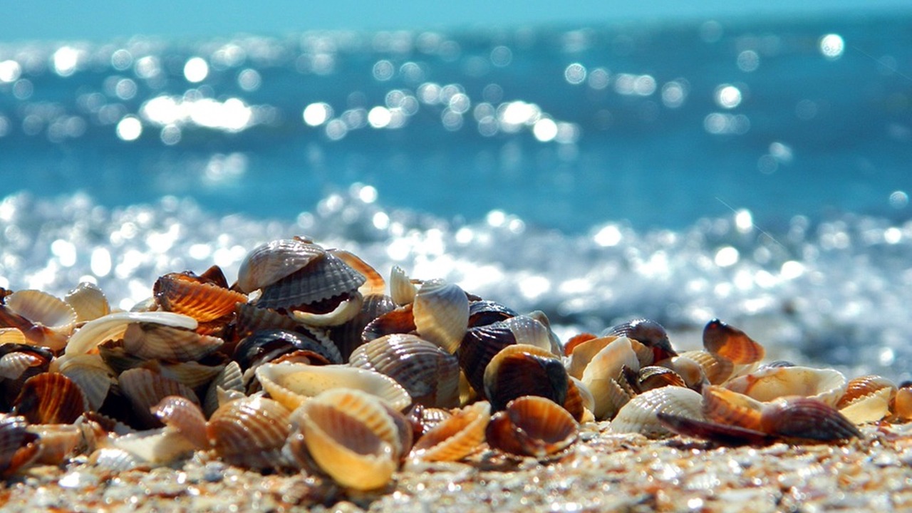 Photo of Others in Dio-Olympos