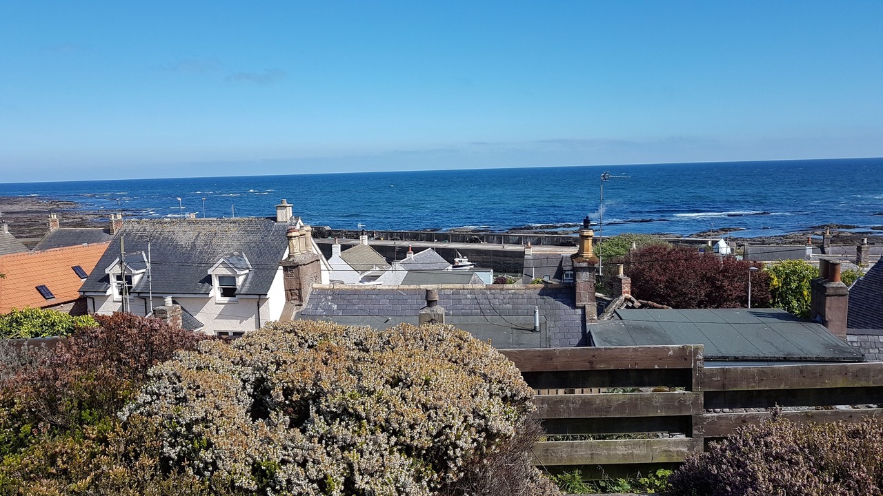 Photo of Others in Johnshaven