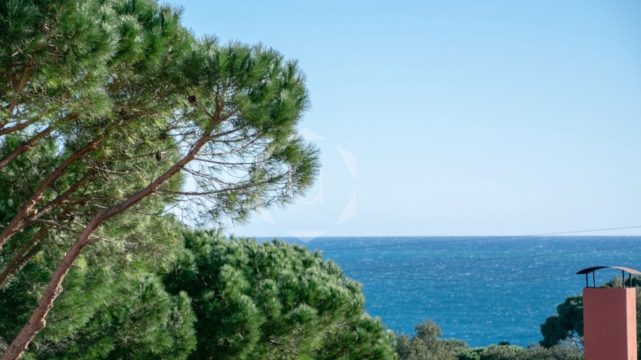 Photo of Others in Calella de Palafrugell