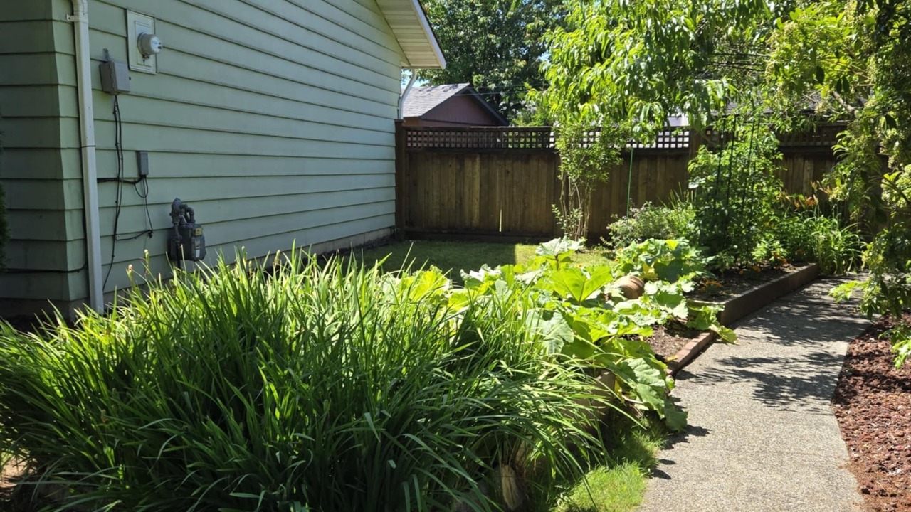 Photo of Outdoor in Maple Ridge